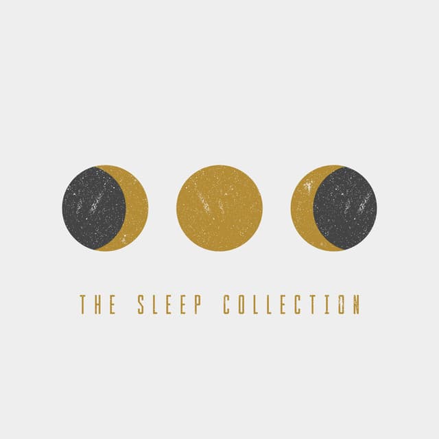 The Sleep Collection
