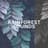 Rainforest Sounds