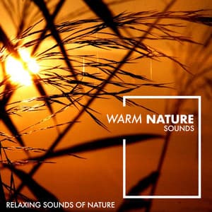 Warm Natural Sounds - Relaxing Sounds Of Nature