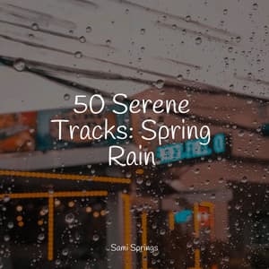 50 Serene Tracks: Spring Rain - Yoga Para Ninos
