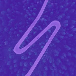 Singing Bowls - Bgm for Healing Sounds - Calm Meditation Music