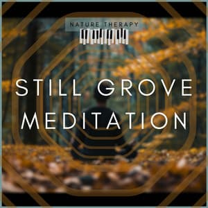 Still Grove Meditation - Nature Therapy