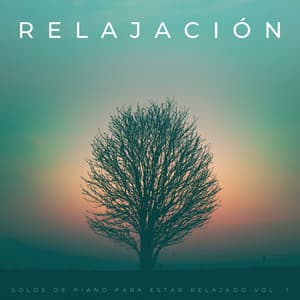 Relajacion: Solos De Piano Para Estar Relajado Vol. 1 - Alguna música