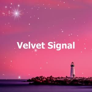 Velvet Signal - Sleepy Bedtime Bear