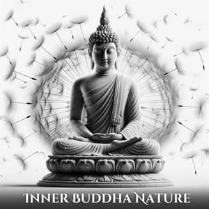 Inner Buddha Environment - Angelithe
