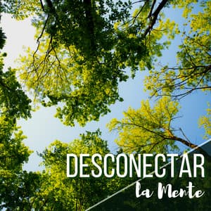 Desconectar la Mente - Música de Ambiente Calmante que Ayuda a Dejar de Pensar y Meditar - Mente Abierta