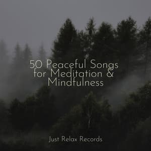 50 Peaceful Songs for Meditation & Mindfulness - Healing Yoga Meditation Music Consort