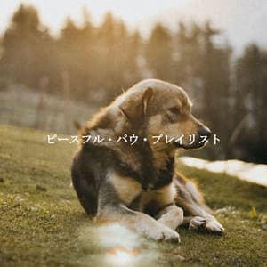 ピースフル・パウ・プレイリスト - Jazz for Work