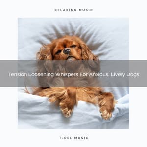 Tension Loosening Whispers For Anxious, Lively Dogs - Pets Relax