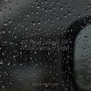 50 Focus Sounds for Mindfulness & Sleep - Mantra para Meditar