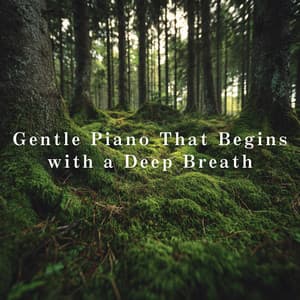 Gentle Piano That Begins with a Deep Breath - Dream House