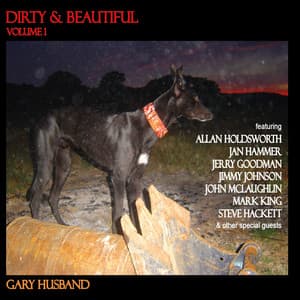 Dirty & Beautiful, Vol. 1 - Gary Husband