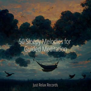 50 Sleepy Melodies for Guided Meditation - Soothing Sounds
