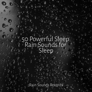 50 Powerful Sleep Rain Sounds for Sleep - PowerThoughts Meditation Club