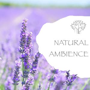 Natural Ambience - Natural Spirit