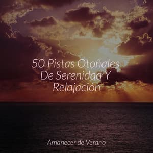 50 Pistas Otoñales De Serenidad Y Relajación - Musica Relajante