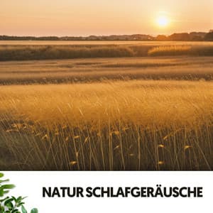 Sons de la Nature : Harmonies du Sauvage - The Nature Soundscapes