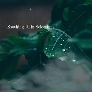 Soothing Rain Selections - Natural Sound Selections
