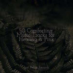 50 Comforting Music Tracks for Healing & Pink - Dog Music