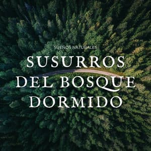 Susurros Del Bosque Dormido: Sueños Naturales - La fuga del bosque