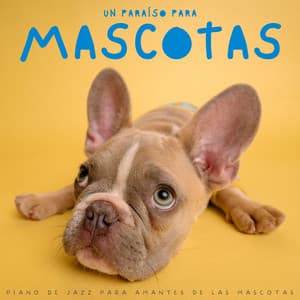 Un Paraíso Para Mascotas: Piano De Jazz Para Amantes De Las Mascotas - Café ChillHop