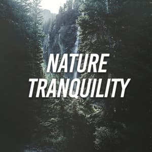 Nature Tranquility - Nature Sounds