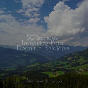 50 Sonidos Tranquilos Para Dormir Y Relajarse - Musica Reiki
