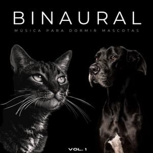 Binaural: Música Para Dormir Mascotas Vol. 1 - Investigación de ritmos binaurales