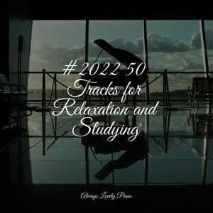 50 Tracks to Relax from Within - Classical Piano Music Masters