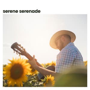 Serene Serenade - Focusity