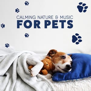 Calming Nature & Music for Pets: Reduce Pet Separation Anxiety Quickly, Sounds Helping in Pet Relaxation Therapy - Pet Music Academy