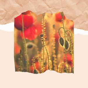 Personal Wellness - Dream Like - Alternative Lounge Jazz Premiere