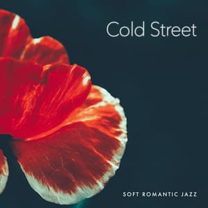 Cold Street - Soft Romantic Jazz