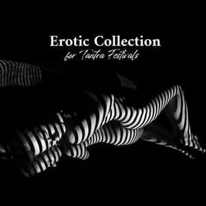 Erotic Collection for Tantra Festivals - Cafe Tantra Chill