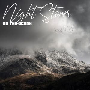 Night Storm on the Ocean - Ele Prashna