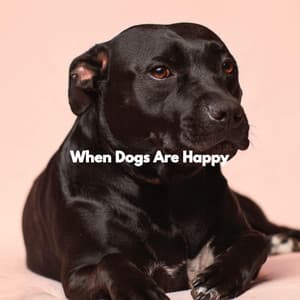 When Dogs Are Happy - Relajado Musica Relajante para Perros