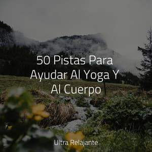 50 Pistas Para Ayudar Al Yoga Y Al Cuerpo - Canciones Infantiles Para Niños