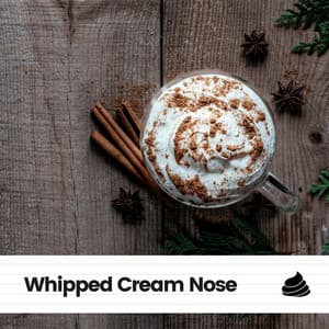 Whipped Cream Nose - Focus at Work Jazz Playlist