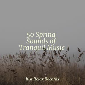 50 Spring Sounds of Tranquil Music - Relaxamento