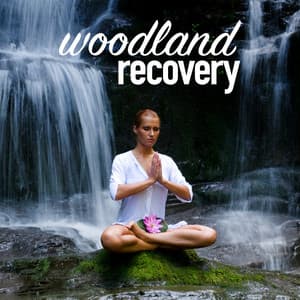 Woodland Recovery - Nature Sounds Relaxing