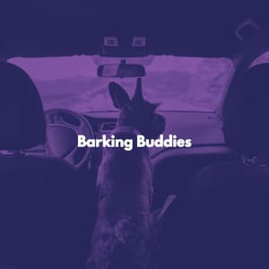 Barking Buddies - Musica Relajante para Perros Momentos