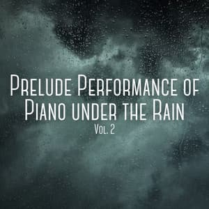Prelude Performance of Piano under the Rain Vol. 2 - Rainded