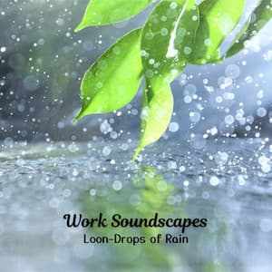 Work Soundscapes: Loon-Drops of Rain - Rainfall