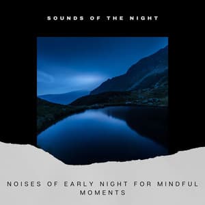 Noises of Early Night for Mindful Moments - Sounds of the Night