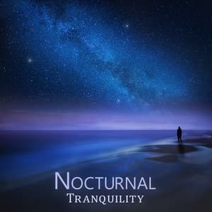 Nocturnal Tranquility: Dreamy Calm, Weightlessness, Quiet Instrumental Music for Sleep - Relaxing Night Music Academy