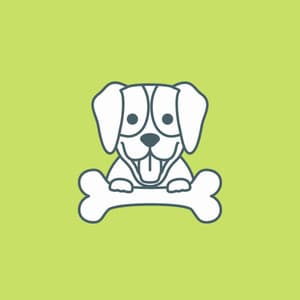 Backdrop for Scruffy Dog - Fabulous Jazz Quartet - Dog Anxiety Music