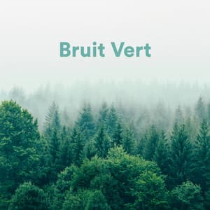Bruit Vert - Bruit Blanc