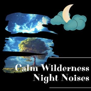 Calm Wilderness: Night Noises - Night Sounds Channel