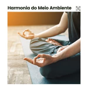 Harmonia do Meio Ambiente - Zona Música Relaxante