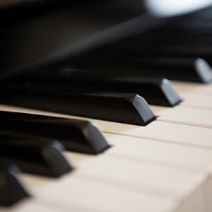 Piano Music to Calm and Relax Your Dog - Piano Calm